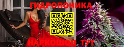 мет Боровичи