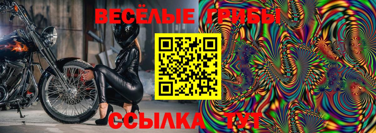Псилоцибиновые грибы GOLDEN TEACHER Канаш