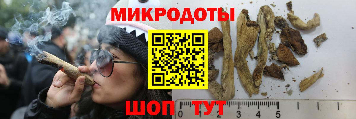 Галлюциногенные грибы MAGIC MUSHROOMS  Вход с VPN  где купить   Канаш 